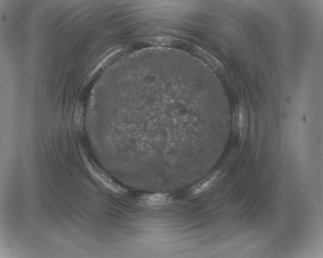 X0000081330092200701251844