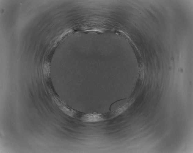 X0000081330093200701251844