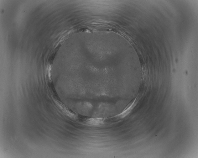 X0000081330094200701251844