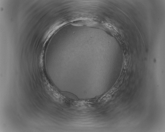 X0000081330098200701251843