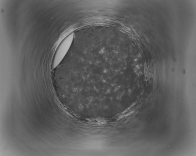 X0000081330099200701251843
