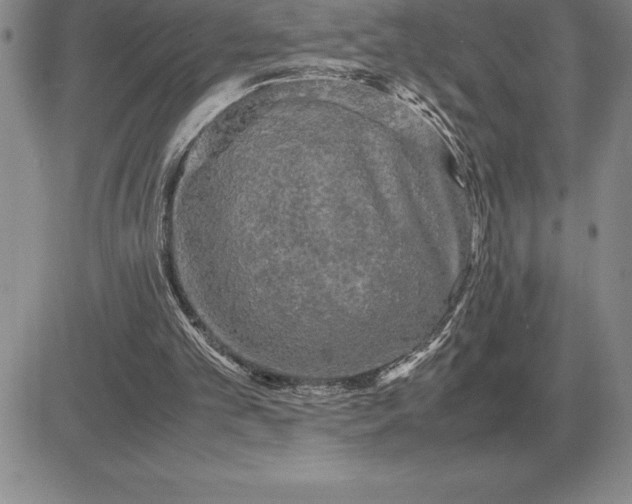X0000081330101200701251843