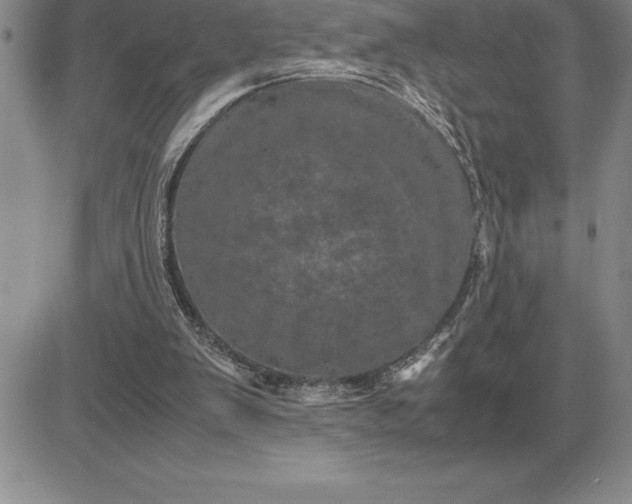 X0000081330103200701251843