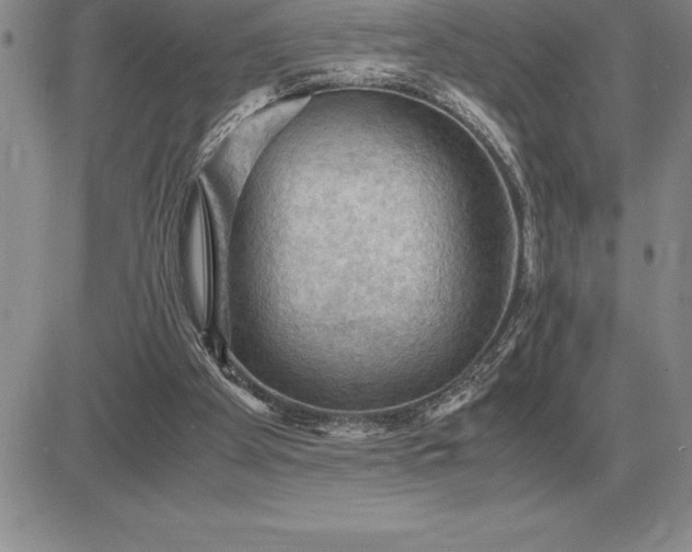 X0000081330105200701251843