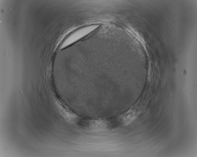 X0000081330107200701251843
