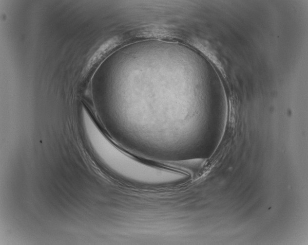 X0000081330109200701251843