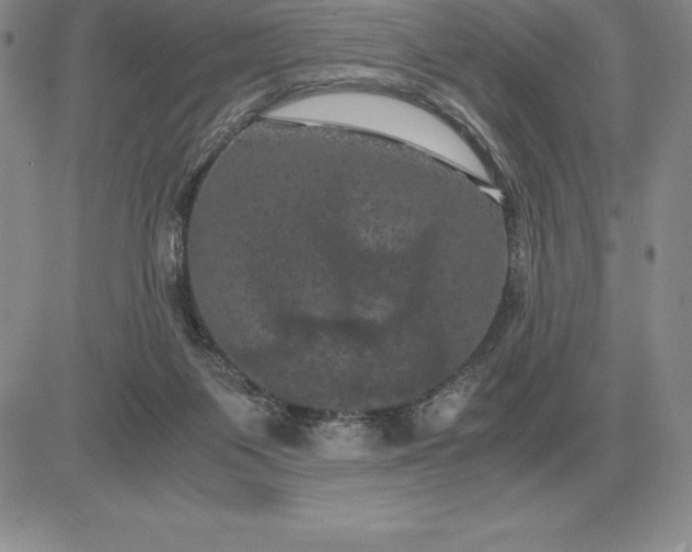 X0000081330119200701251843