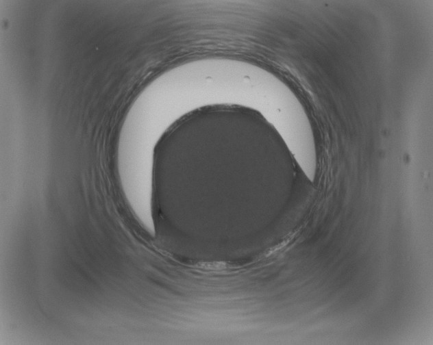 X0000081330123200701251843