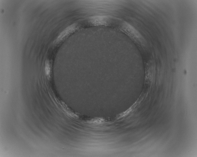 X0000081330124200701251843