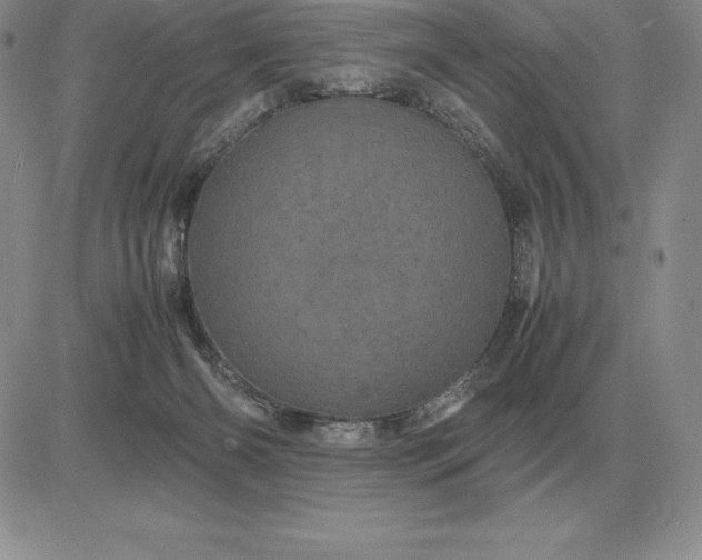 X0000081330126200701251843