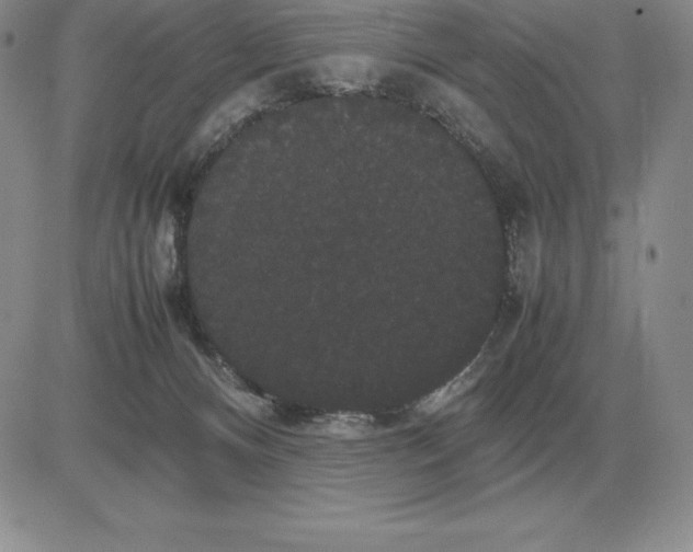 X0000081330128200701251843