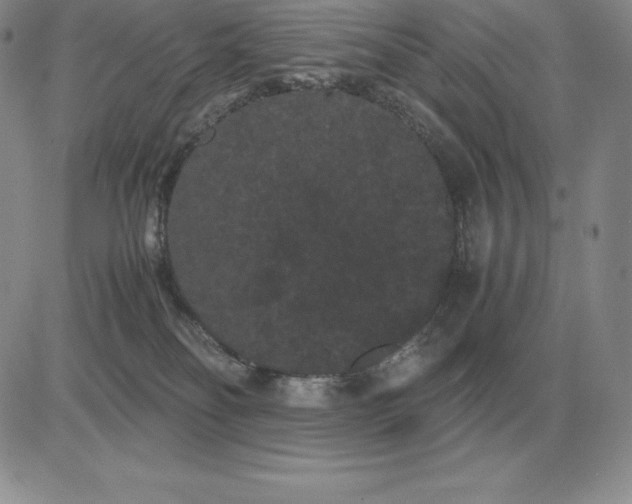 X0000081330134200701251843