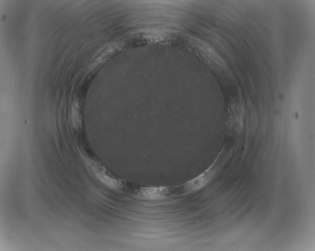 X0000081330136200701251843