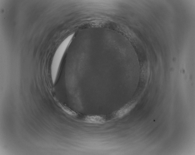 X0000081330137200701251843