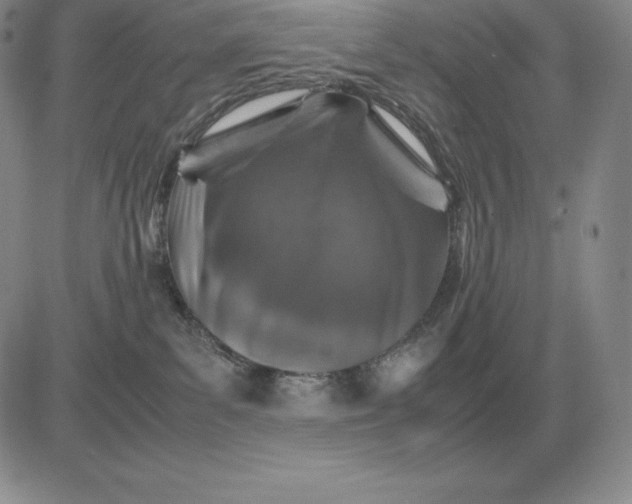 X0000081330139200701251843