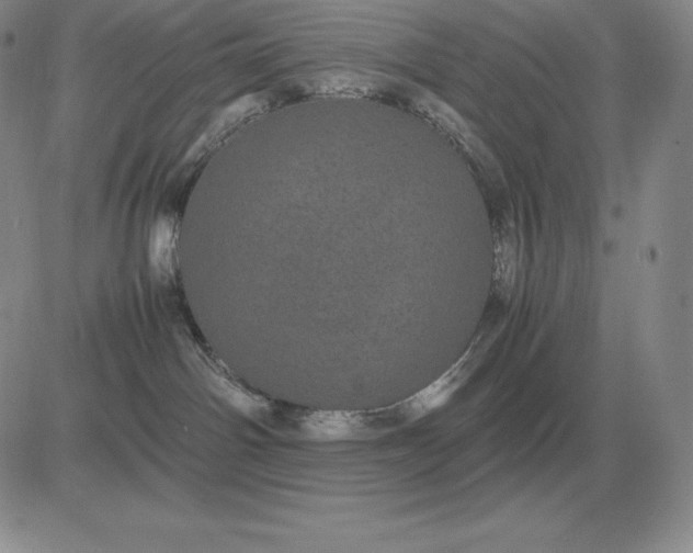 X0000081330142200701251842