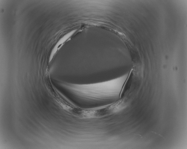 X0000081330143200701251842