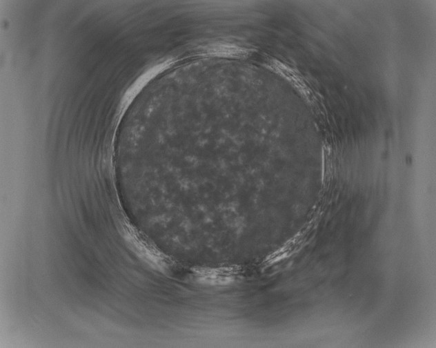X0000081330147200701251842