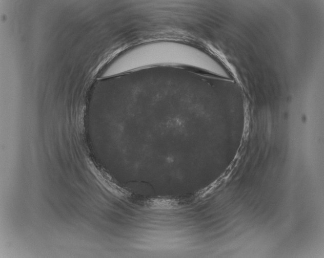 X0000081330154200701251842