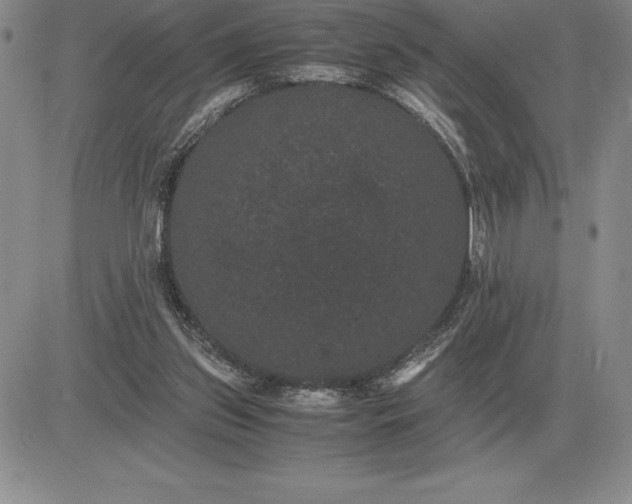 X0000081330157200701251842