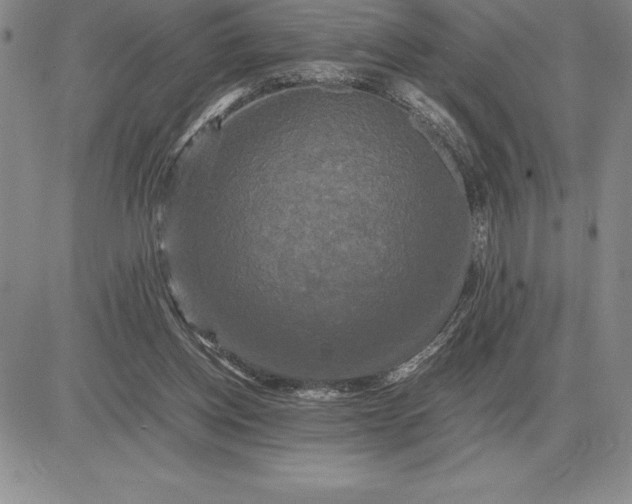 X0000081330158200701251842