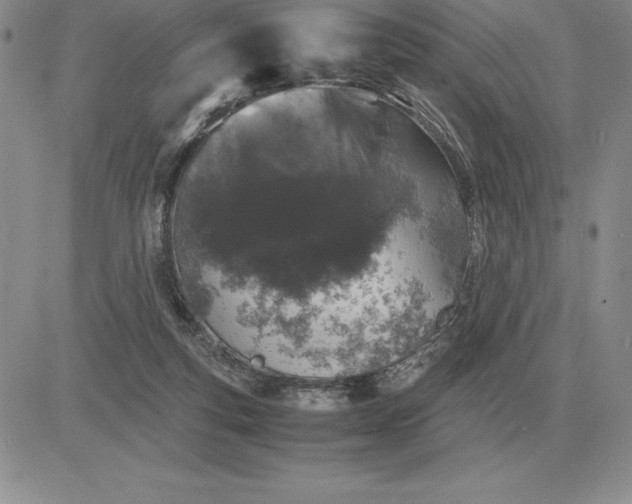 X0000081330163200701251842