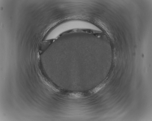 X0000081330164200701251842