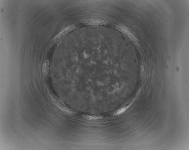 X0000081330165200701251842