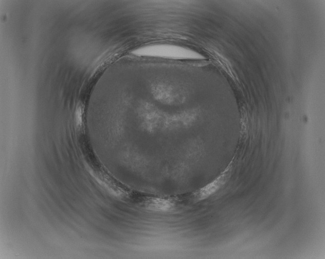 X0000081330166200701251842