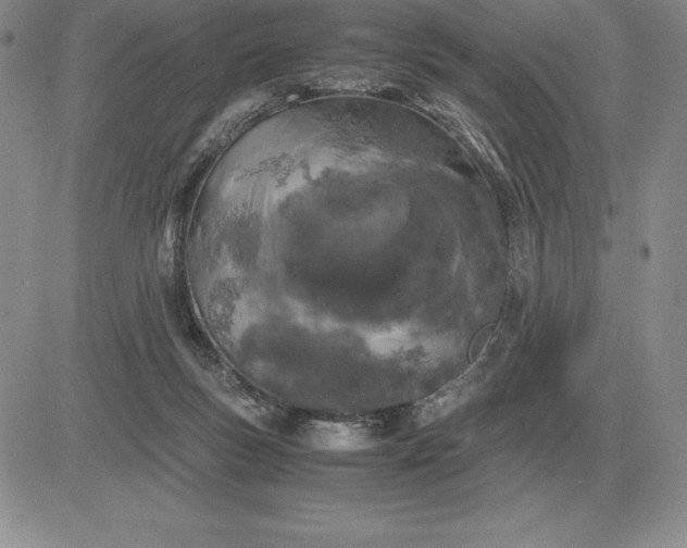 X0000081330167200701251842