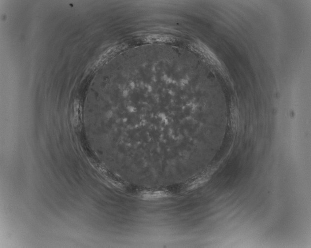 X0000081330169200701251842
