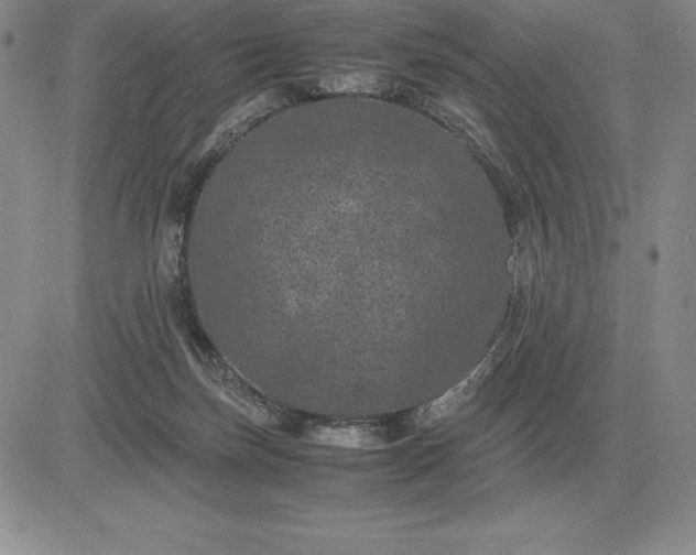 X0000081330171200701251842