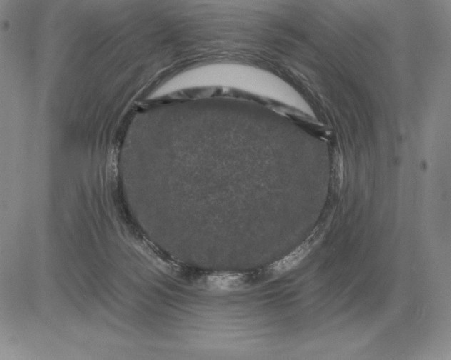 X0000081330172200701251842