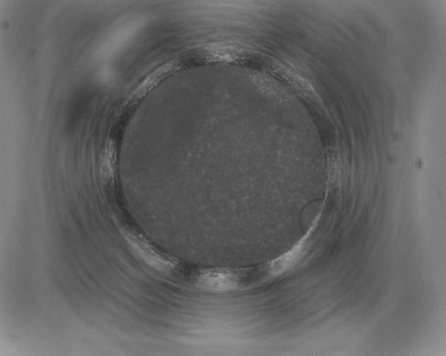 X0000081330174200701251842