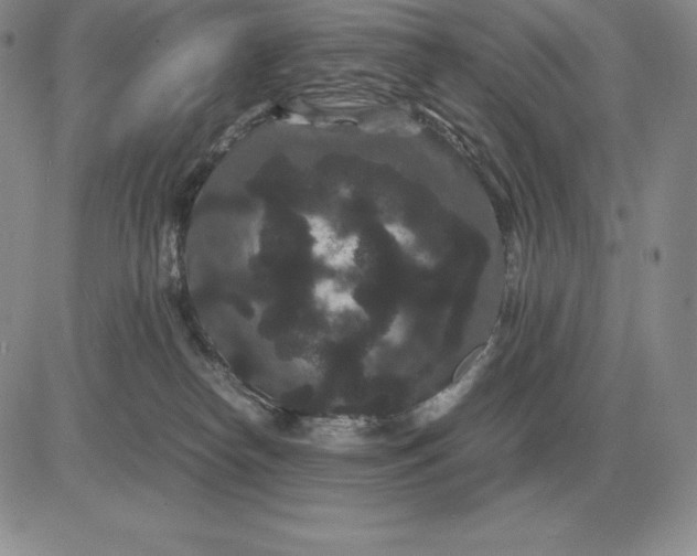 X0000081330182200701251842