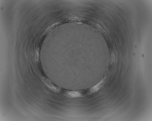 X0000081330183200701251842