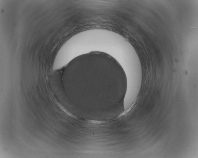 X0000081330184200701251842