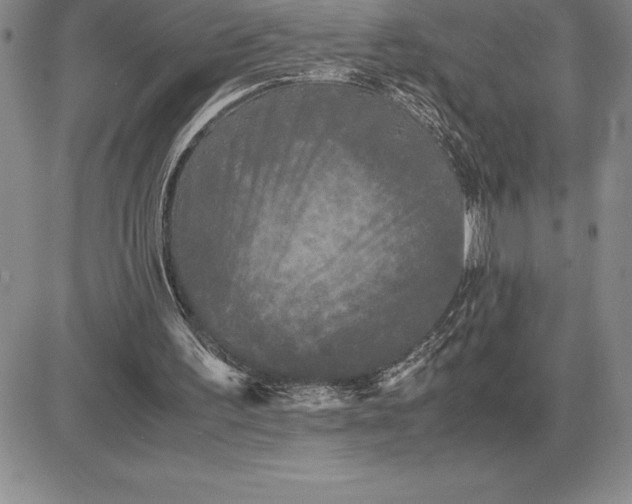 X0000081330195200701251842
