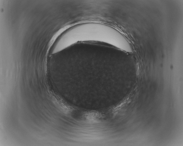 X0000081330200200701251842