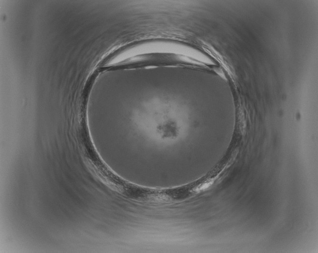 X0000081330203200701251841