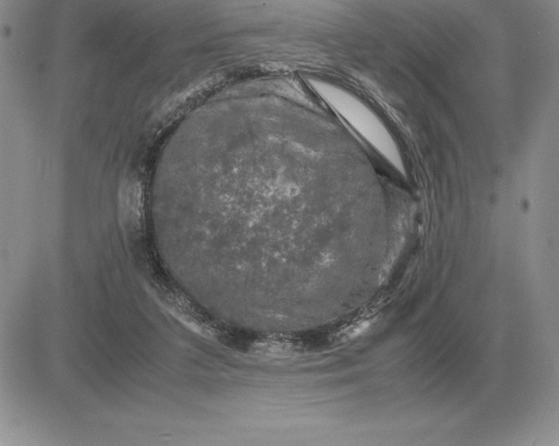 X0000081330211200701251841