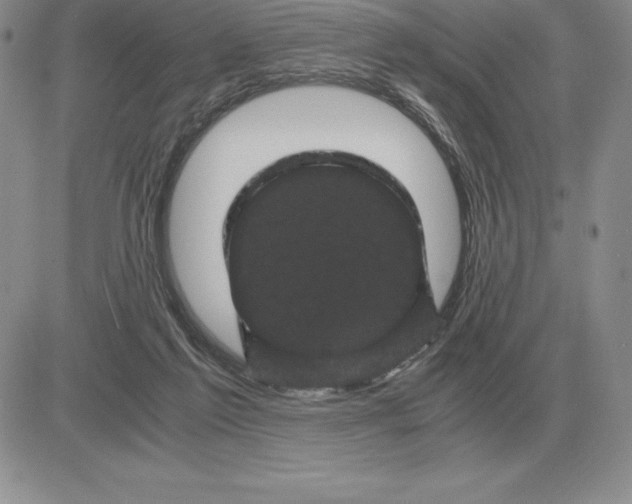 X0000081330213200701251841
