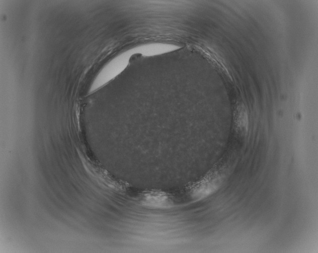 X0000081330214200701251841