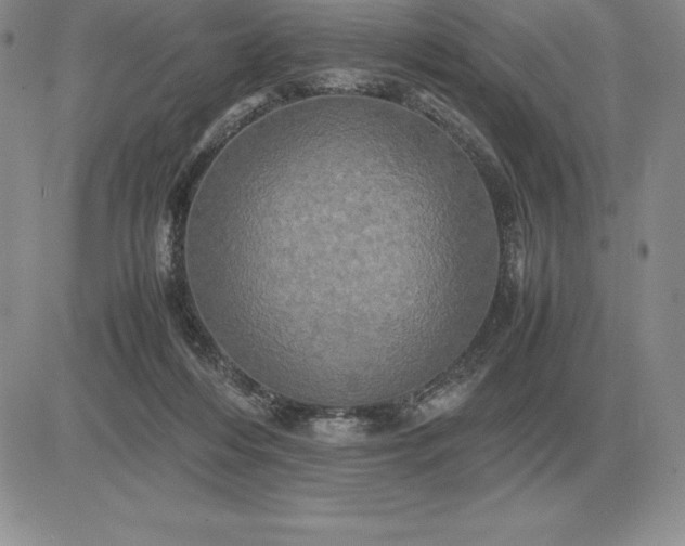 X0000081330216200701251841