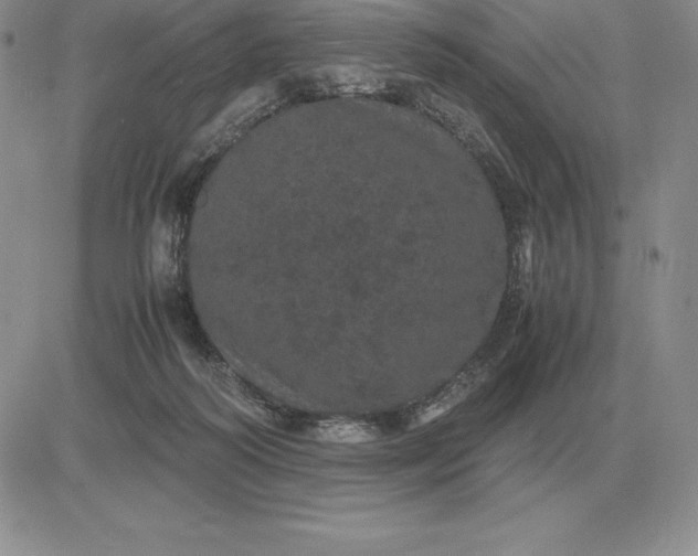 X0000081330218200701251841