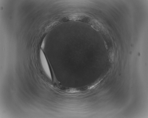 X0000081330219200701251841