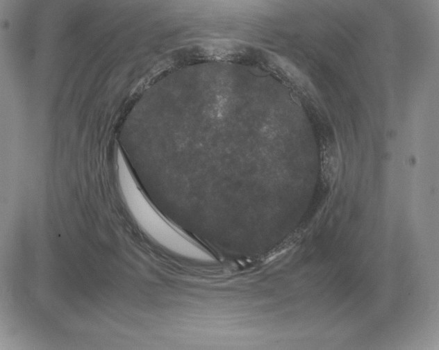 X0000081330221200701251841