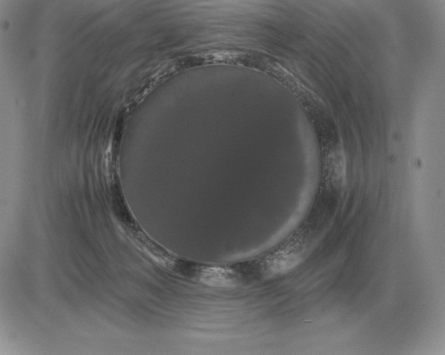 X0000081330222200701251841
