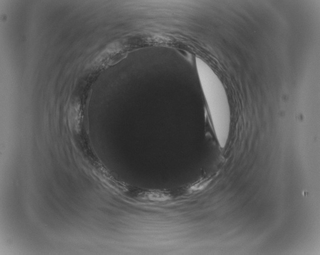 X0000081330223200701251841