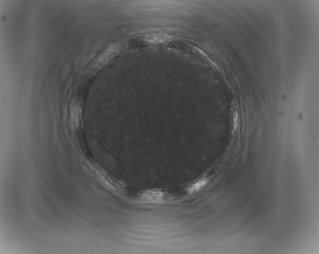 X0000081330227200701251841